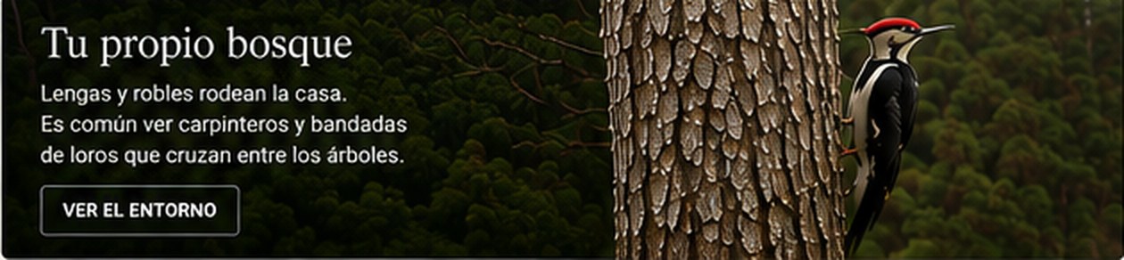 Carpintero negro sobre el tronco de un árbol en un bosque de lengas y robles